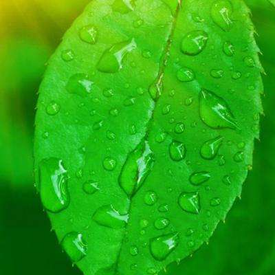 篮球体育彩票app